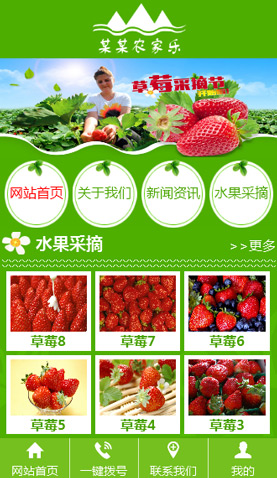 广州电脑网站模板